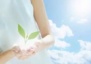 外阴炎有哪些检查方法？