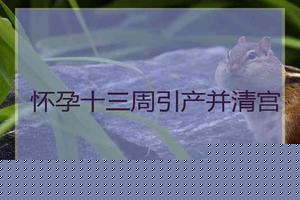 莎车15周引产(引产全过程详细)